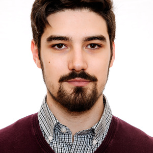 Radu Crihalmeanu