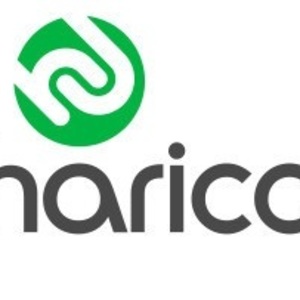 Harico Marketing Agency