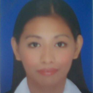 Marijoy R. Villareal