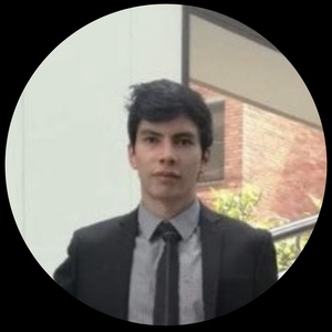 David Rosales Casallas