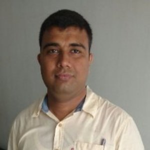 Ravi Palan