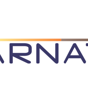 Incarnate ICT