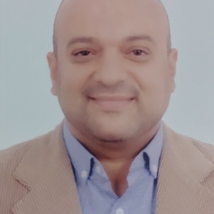 Mohamed Gamal Mohamed