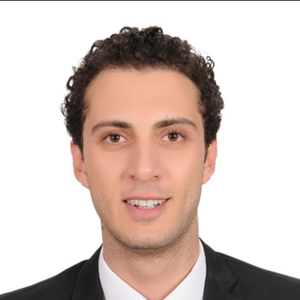 Mostafa Helmy Hassan