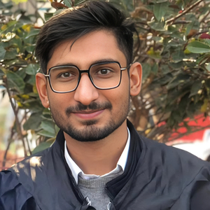 Ali Hamza