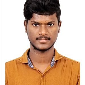 Vignesh P