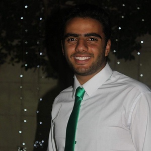 Mohamed Hesham El-Laithy