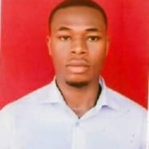 Michael Aludogbu