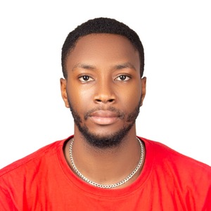 Augustine Nkemdirim Mbakwe
