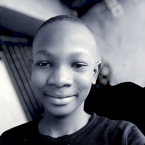 Godwins Adedokun