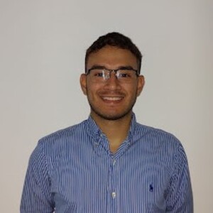 Ariel Enrique Henriquez Castillo