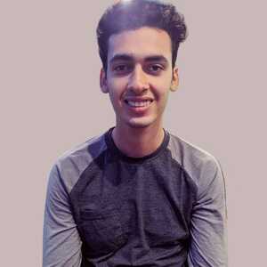 Ahmed Salah Abdel Hafez