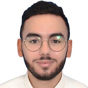 Ziad Mouaddine