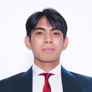 Vince Lesther Calimag