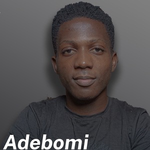 Oluwaseun Oluwatosin Adebomi