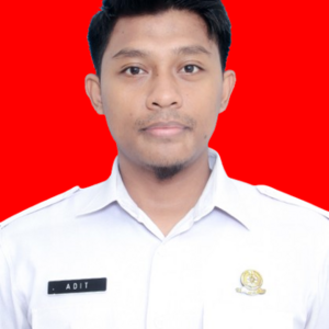 Adityo Wicaksono