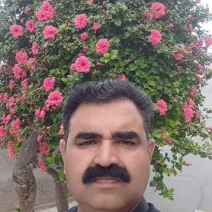 Tabassum Fraz