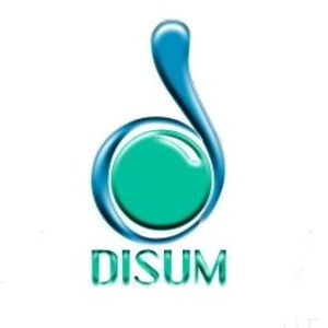 Disum Informatics