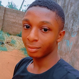 Chiemerie Favour Onyeanusi