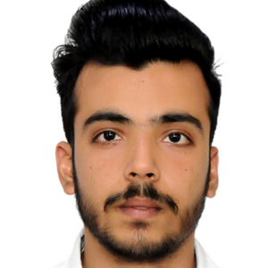 Mohit Kumar Narang