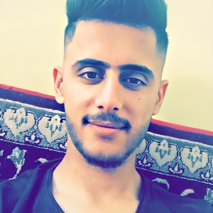 Ari karim ali