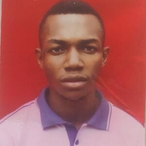 Paulinus Paulinus Okon