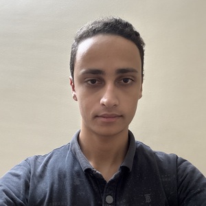 Ahmed Abdelhakem
