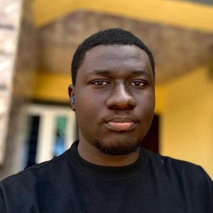 Chimmuanya Victor Onuzulike