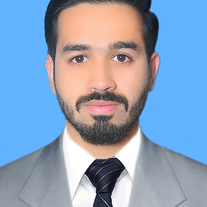 Muhammad Amir Hamza