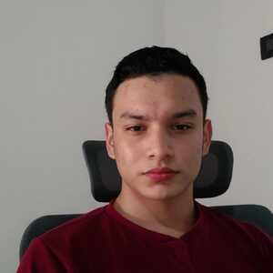 Carlos Manuel Vargas Lopez