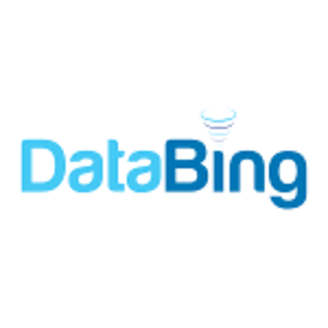 DataBing