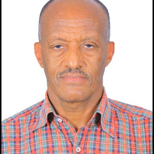 Aregai Tedella