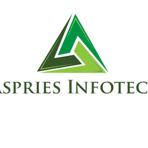 Aspries Infotech