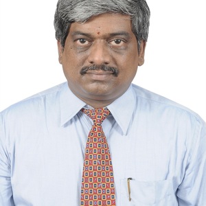 S. Bhanu Kumar