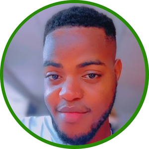 Pelumi Oluwaseyi Adebisi