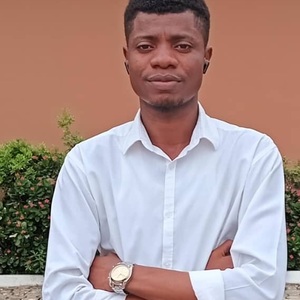 Abraham Oluwaseyi Alimi