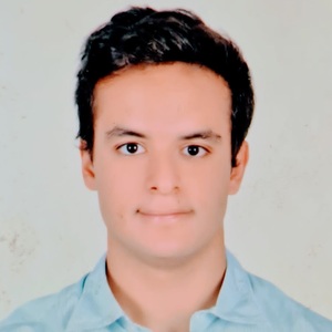 Amr Shehaly