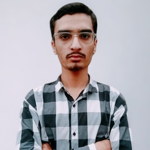 Muhammad Zain Ul Abideen