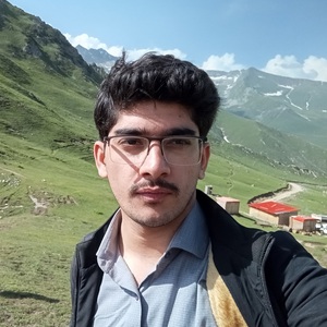 Muhammad Umer Awais