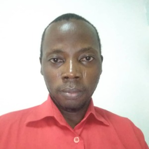 Johnson Odugbesan