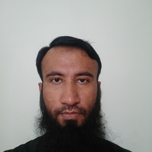 Amir Hussain