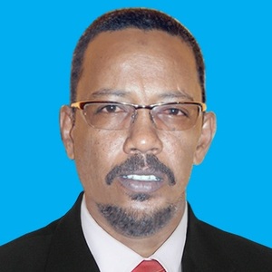 Osama Ahmed Ali Babikir