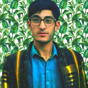 Muhammad Kumail Sheraze