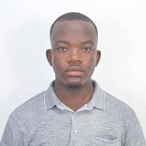 Francis Mawufemor Yao Amenu