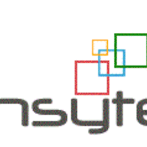 Insyte Consultancy Services LLC