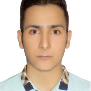 Mojtaba Abdolvand