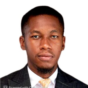 Profit Agbo