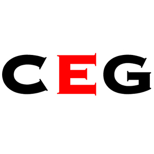 Cinnamon Entertainment Group LLC