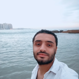 Amr Mamdouh Al Hussainy