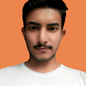 Wasim Raza